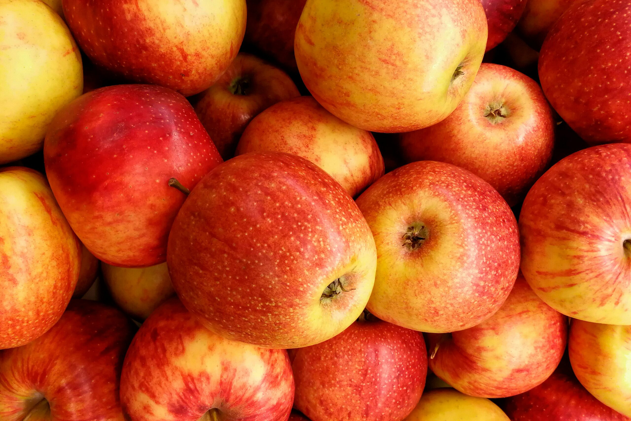 Close-up of fresh, vibrant red apples piled together, showcasing their nutritious appeal.